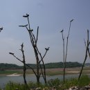 고루(古壘) 이미지