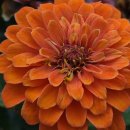 [시민공감교육] 도전하는 열정에 장애는 없다(청각장애 이해 및 수어 체험) 이미지