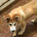 선미농장 이미지