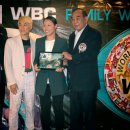 범진권투 이미지