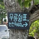 무릉쉼표 이미지