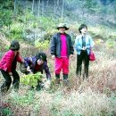 승우농장 Daum카페