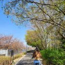 소양강변길(봄내길 4-1코스) 이미지