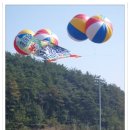 부림초등학교 Daum카페