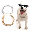 퀸 애견 이미지