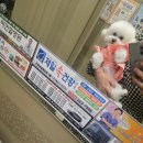 더벤티 언양 양우 내안애점