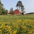 커티지(cottage) 이미지