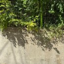 시공간플라워스튜디오 | ~ 25.09.27 일상 쌓기