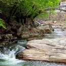 산속의정원 이미지