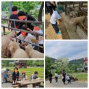 양평목장 이미지