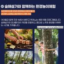 fun한 도자기 만들기(야간) | 영암곤충박물관 2026년 영암 반딧불이 축제 행사 준비 꿀팁