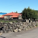 스테이리라 이미지