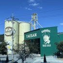 일로-22 | 무안 일로 베이커리 태산 대형 카페 디저트 추천