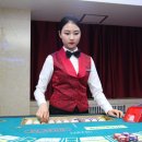 지노카서비스 이미지