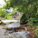 물소리새소리펜션 이미지