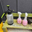 세차의 고수(죽도점) 이미지