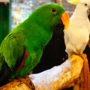 작은동물원 이미지