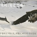 토주 이미지