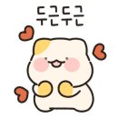 핑크랑보라 이미지