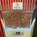 기생충박물관 | 아이와 서울 무료 박물관 강서구 기생충 박물관