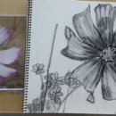 가나복지용구 이미지