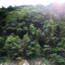 굿모닝펜션 이미지