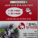 딸기정원