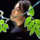 여심 이미지