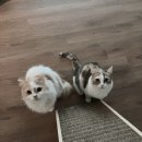 24시 해든동물의료센터 민락점 이미지