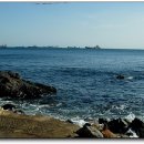 해녀할매집 이미지