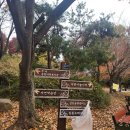 부곡종합사회복지관 | 안산 부곡종합사회복지관 토요일 놀면 뭐하니 빼빼로만들자