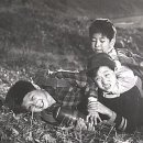 다리목농장 네이버블로그