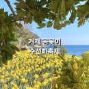 공곶이가는길 | 경남 거제도 가볼만한곳 공곶이수목원 수선화축제 개화상황 실시간(24.03.21)