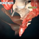 이두석 카카오 검색결과
