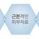 에스테틱 웰스킨