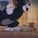 톰과제리 - 광명시 오리로396번길 11-1 | 톰과제리