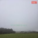 세컨더블비 이미지