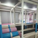 솔섬마을 관광펜션 | 경주 키즈마을 펜션 난 여기가 최고였어