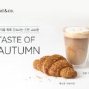 브레댄코 중앙일보