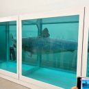 다원약국 | 데미안허스트 전시 ㅣ 국립현대미술관 서울 ㅣ 관람 후기 ㅣ 굿즈