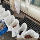 일원상회 이미지