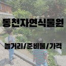 자연식물원 | [용인] 동천자연식물원 아이랑 후기｜숲놀이터부터 동물먹이주기, 레일썰매까지 하루 종일 놀기 좋은 곳