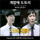 속담 개밥의 도토리 뜻 의미 이미지