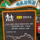 속초사잇길 제1길 이미지