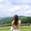 커피인(coffeein) | 강릉 영진해변 카페 커피인(Coffeein) 바다 앞 카페 제대로 힐링:)