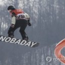 PARROT KOREA 이미지