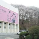 대전 지하철 중구청역에서 테미공원, 충남도지사관사촌 걷기 (20170702) 이미지