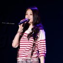 대관령 야외공연장 이미지