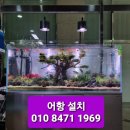 아쿠아티파니강서