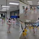 경희대 위드 태권도 이미지